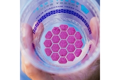 Image Printed PET cups.